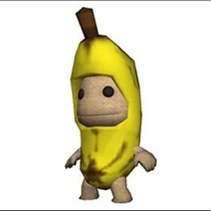 Meet your Posher, Ryder